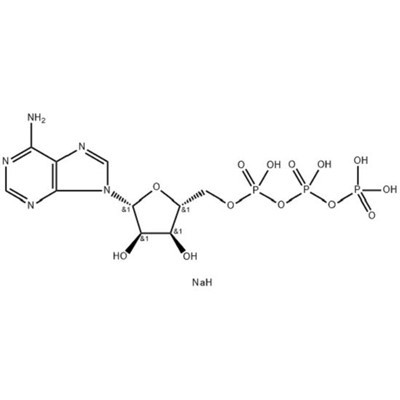 아데노신 5'-트리포스파타제,이나트륨 염(ATP-2Na);CAS 번호: 987-65-5